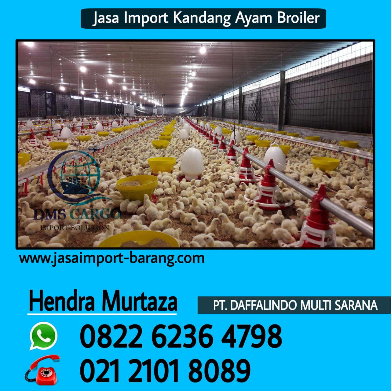 Jasa_Import_Kandang_Ayam_Broiler.jpg